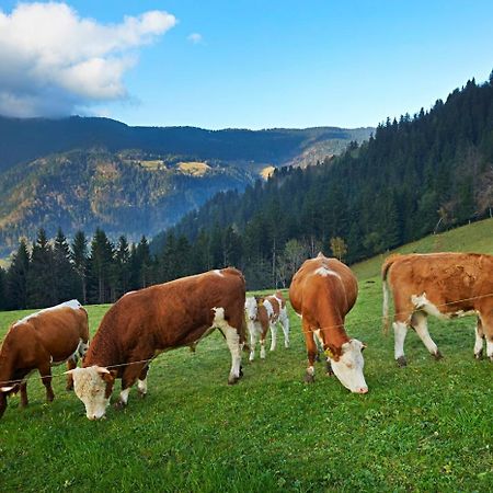 Вілла Tourist Farm Kladje Ljubno Екстер'єр фото
