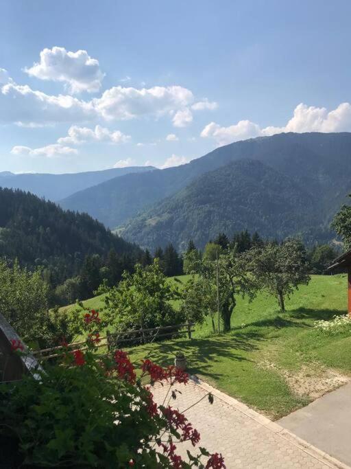 Вілла Tourist Farm Kladje Ljubno Екстер'єр фото