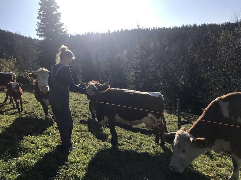 Вілла Tourist Farm Kladje Ljubno Екстер'єр фото