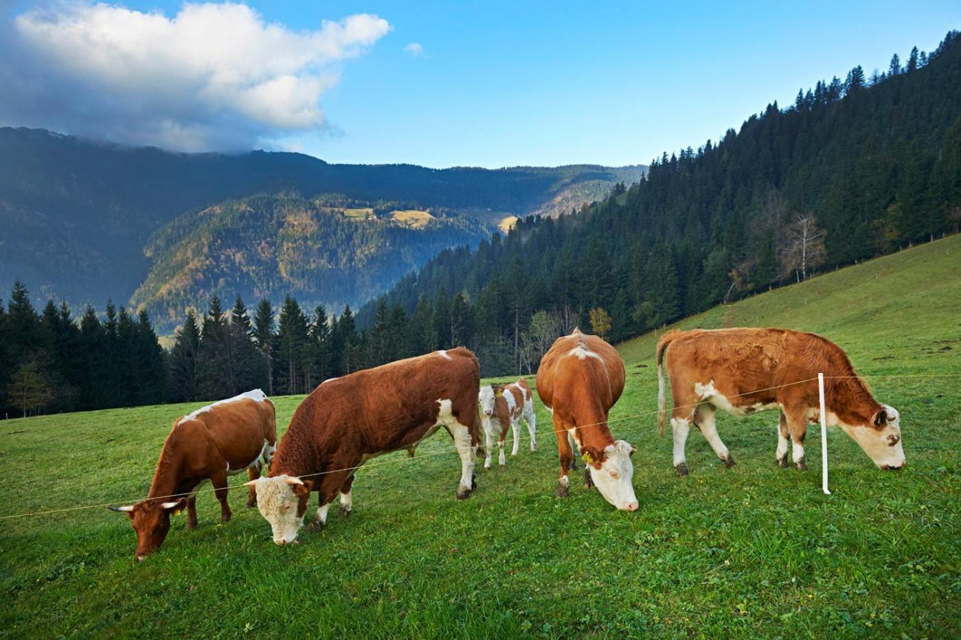 Вілла Tourist Farm Kladje Ljubno Екстер'єр фото