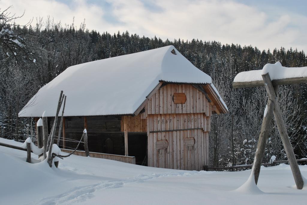 Вілла Tourist Farm Kladje Ljubno Екстер'єр фото